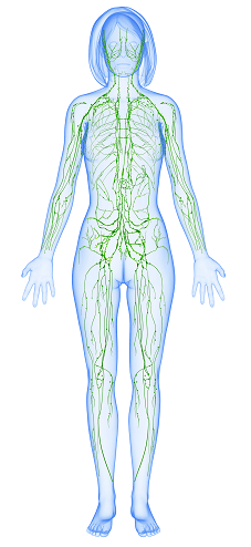 7 Ways to Improve Lymphatic Health in Lakeside