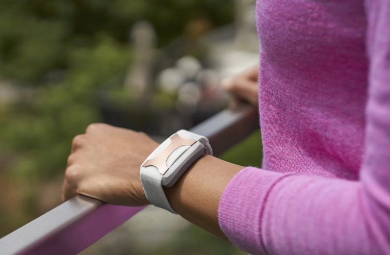 Lakeside: Can a Wearable Device Reduce Stress?